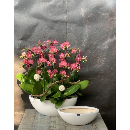 Chậu gốm dáng thuyền MS 02-1036-02-01